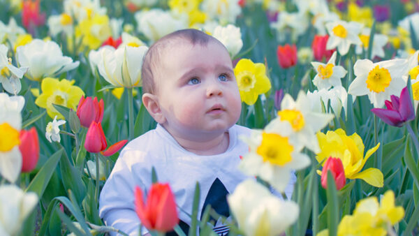 Wallpaper Field, Wearing, Boy, Cute, Sitting, Flowers, Baby, Child, White, Dress, Looking, Colorful