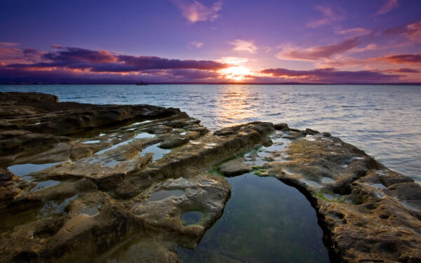 Wallpaper Sunset, Auckland