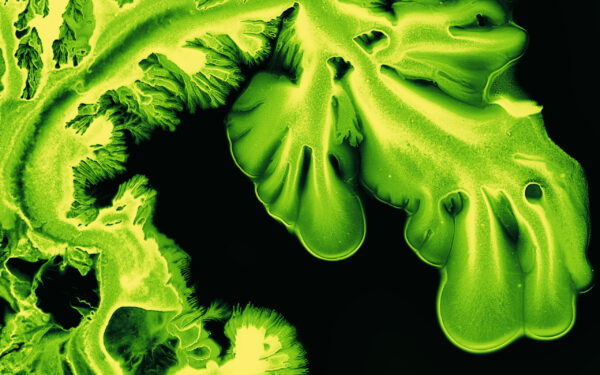 Wallpaper Macro, Green, Art