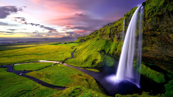 Wallpaper Covered, Green, Nature, From, Waterfall, Algae, Pouring, Mountains