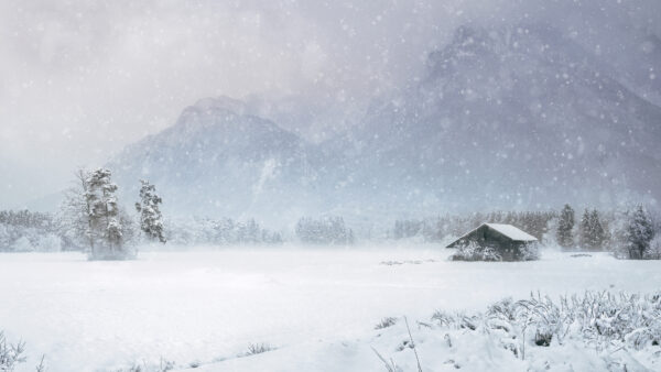 Wallpaper Covered, Mountain, With, Background, Snow, Hut, Mobile, Snowfall, Pine, Trees, Winter, Desktop