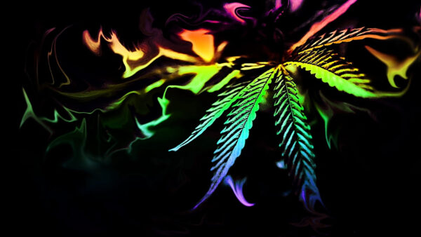 Wallpaper Trippy, Colorful, Weed, Art