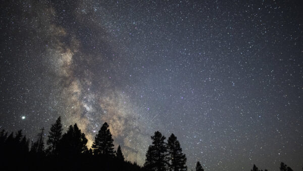 Wallpaper Beautiful, Nature, Desktop, During, Under, Starry, Trees, Sky, Nighttime