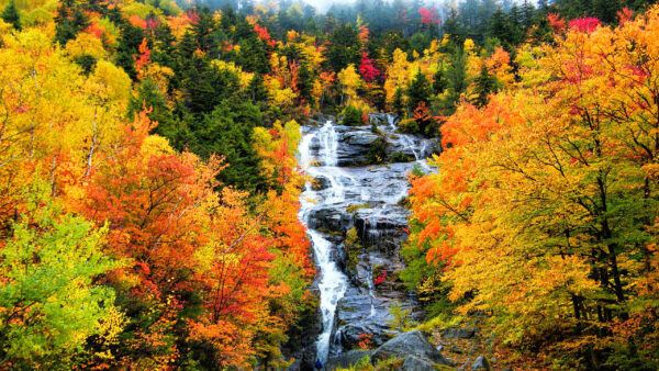 Wallpaper Leafed, Autumn, Nature, Spring, Forest, Between, Colorful, Waterfall, Desktop, Rocks, Trees