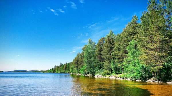 Wallpaper Under, Reflection, Trees, Green, Desktop, Blue, Coast, Water, Mobile, Sky, Forest, Nature