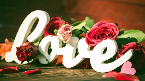 Wallpaper Roses, Love, Word, Colorful, With, Table