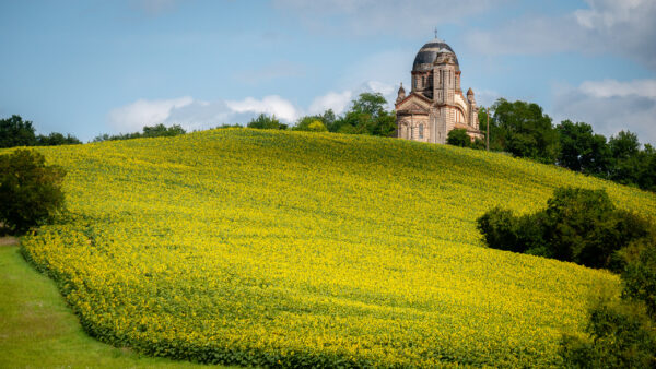 Wallpaper Mobile, Trees, Sky, Blue, Flowers, Beautiful, Bushes, Green, Background, Nature, Desktop, Yellow, Scenery, Church