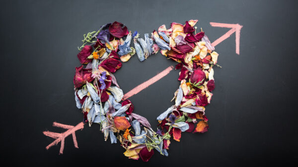 Wallpaper Love, Colorful, Background, Heart, Dry, With, Flowers, Black, Shape, Symbol, Arrow