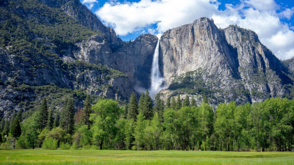 Wallpaper Rock, Bushes, Field, Nature, During, Grass, View, Waterfalls, Daytime, From, Desktop, Mountains, Landscape, Trees, Mobile