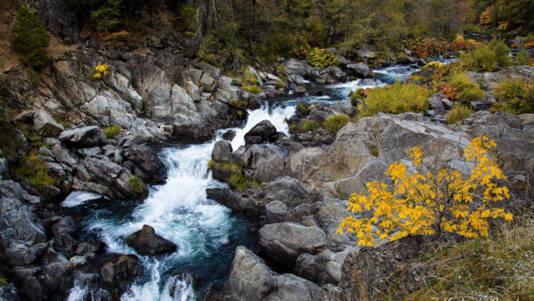 Wallpaper Nature, Bushes, Stream, River, Autumn, Trees, Between, Plants, Mobile, Greenery, Stones, Desktop