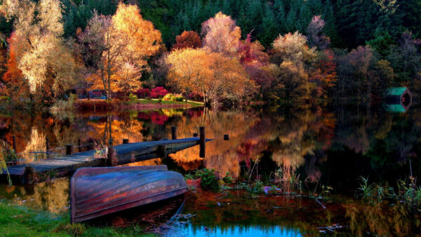 Wallpaper View, Plants, Water, Nature, Calm, Landscape, Trees, Bushes, Colorful, Reflection, Body