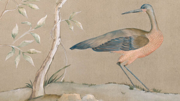 Wallpaper WALL, Background, Chinoiserie, Bird, Colorful