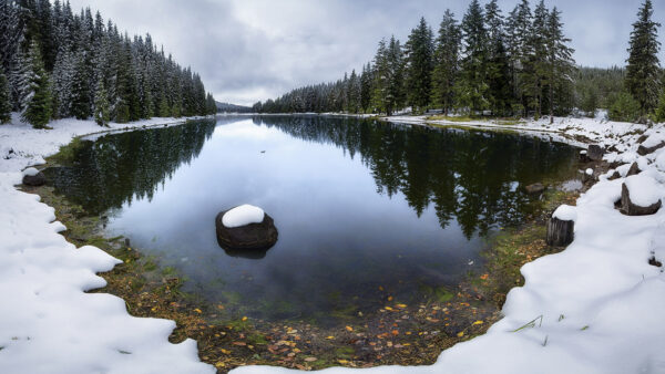 Wallpaper Clouds, Under, Sky, Snow, Nature, River, Covered, Trees, Forest, White
