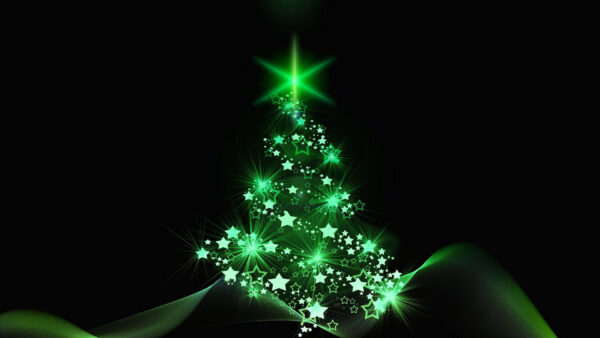 Wallpaper Tree, Stars, Black, Green, Christmas, Background, Glare