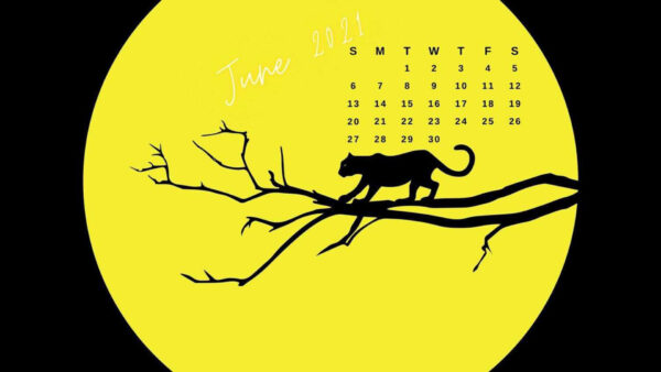 Wallpaper Desktop, June, Panther, Tree, Calender, 2021, Black