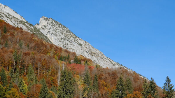 Wallpaper White, Autumn, Under, Blue, Nature, Rock, Colorful, Mountains, Sky, Trees