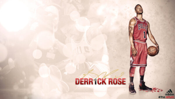Wallpaper Rose, With, Chicago, Sports, Red, Dress, Bulls, Derrick