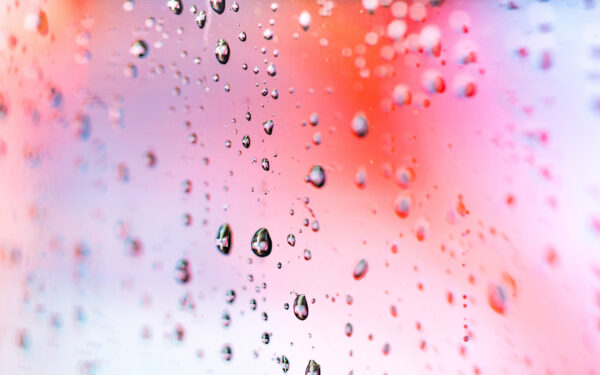 Wallpaper Droplets, Rain, Macro