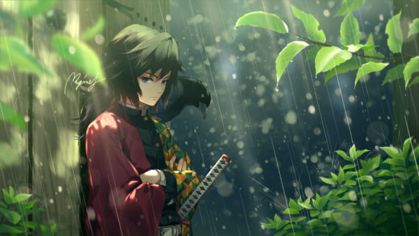 Wallpaper Tomioka, Desktop, Giyuu, Anime, Standing, Plants, Slayer, Rain, Around, Demon