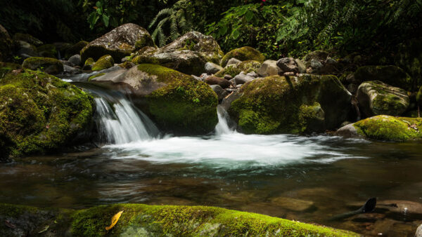 Wallpaper Desktop, Moss, 4k, Plants, Phone, Pc, Images, Background, Wallpaper, Stones, Cool, Water, Waterfall, Mobile