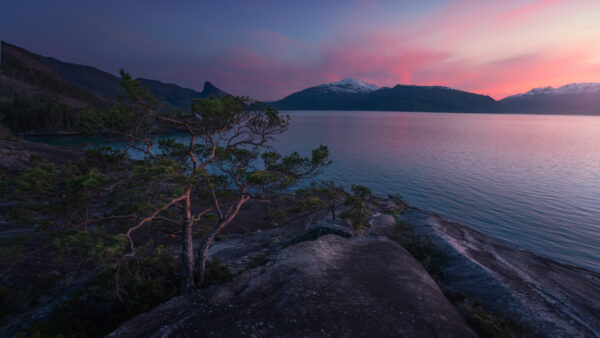 Wallpaper Sunset, Mobile, During, Desktop, Tree, Norway, And, Nature, Pine, Mountain, Fjord