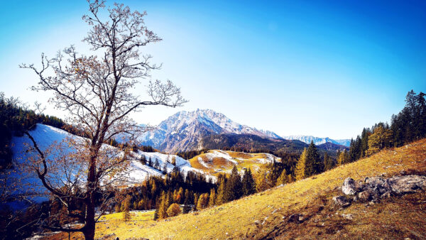 Wallpaper Landscape, Mountains, Blue, Autumn, Nature, Under, Sky, Desktop, Mobile