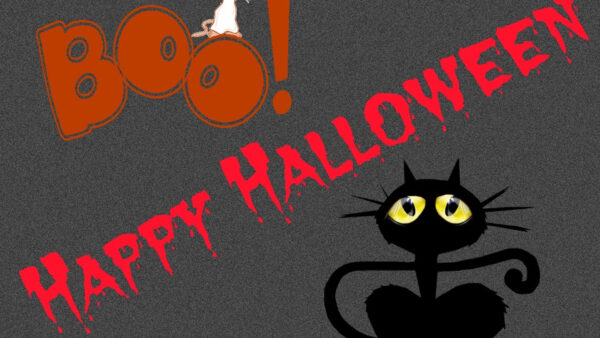 Wallpaper Cat, Halloween, Black, Desktop, Happy