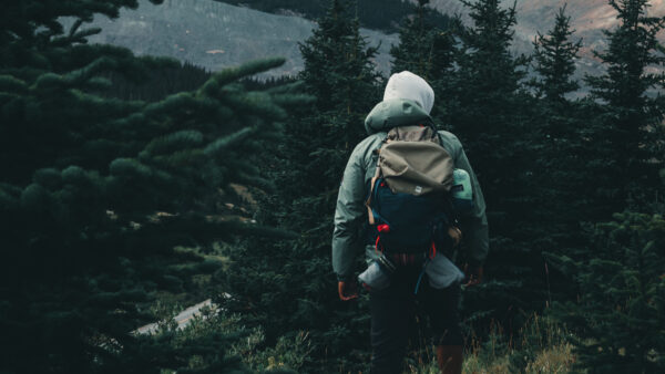 Wallpaper Camping, Forest, Hike, Man, Alone