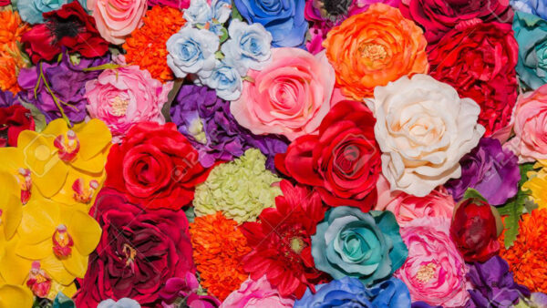 Wallpaper Desktop, Beautiful, Multicolored, Roses, Spring, Flowers