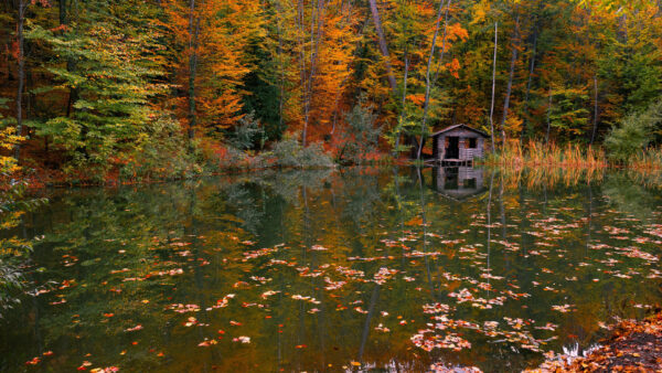 Wallpaper River, Autumn, With, Trees, Reflection, Yellow, Desktop, Nature, Green, Hut