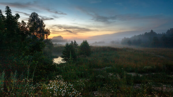 Wallpaper Nature, Field, Evening, Fog, Desktop, Meadow, Grass, And