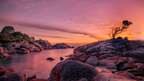 Wallpaper Cloudy, Under, Rocks, Sky, Stones, Purple, Black, Nature, River, Between