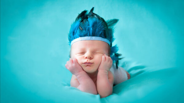 Wallpaper Head, Charmy, Feather, Cute, Baby, With, Desktop