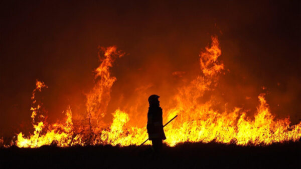 Wallpaper Standing, Desktop, Fire, Near, Fireman