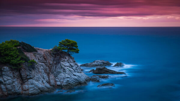 Wallpaper Sky, Trees, Rock, Mountain, Ocean, With, Green, Nature, Purple, Clouds, Light, Under