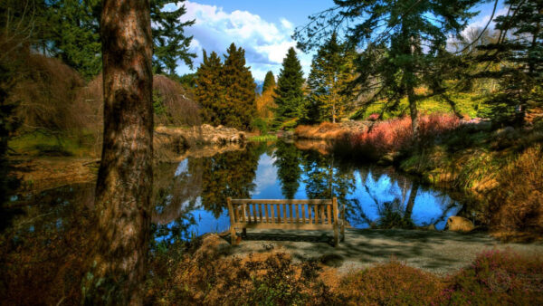 Wallpaper Green, Bushes, Wood, Water, Scenery, Bench, Surrounded, Plants, Reflection, Lake, Sand, Trees