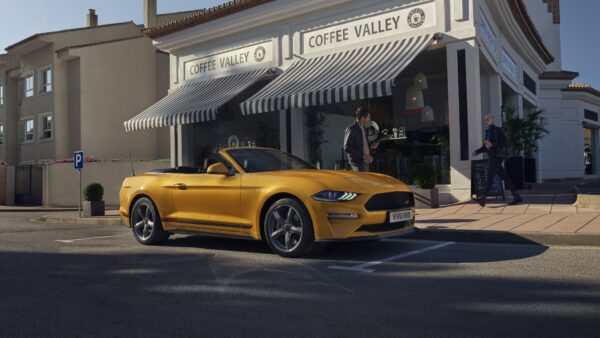 Wallpaper California, 2022, Special, Ford, Cars, Mustang, Convertible