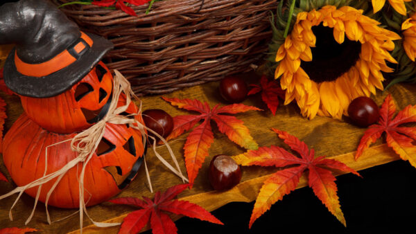 Wallpaper Colorful, Basket, Leaves, Halloween, Pumpkin, Orange, Autumn