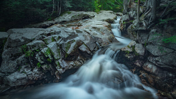 Wallpaper Forest, Stones, Rocks, Background, Bushes, Waterfall, Covered, Stream, Algae, Nature, Trees