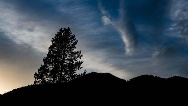 Wallpaper Under, Nature, Trees, Sky, During, Hills, Branches, Nighttime, Clouds, Desktop