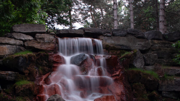 Wallpaper Forest, Grass, Nature, Trees, Background, Stones, Rocks, Branches, Stream, Waterfall