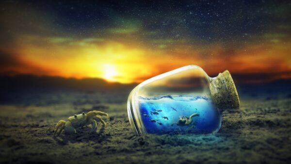 Wallpaper Fishes, Underwater, Surreal, Bottle, Sunset, Crab, Sand