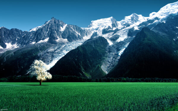 Wallpaper Glacier, Bossons, Snow, Mountains, Alps