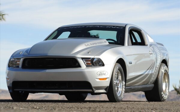 Wallpaper Ford, Mustang, Cobra, 2010