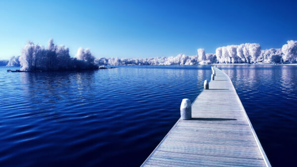 Wallpaper White, Body, Around, Wooden, Trees, Under, Water, Blossom, Nature, Sky, Dock, Mobile, Blue, Desktop