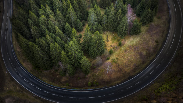 Wallpaper Aerial, View, Travel, Surrounded, Mobile, Fir, Tree, Desktop, Road