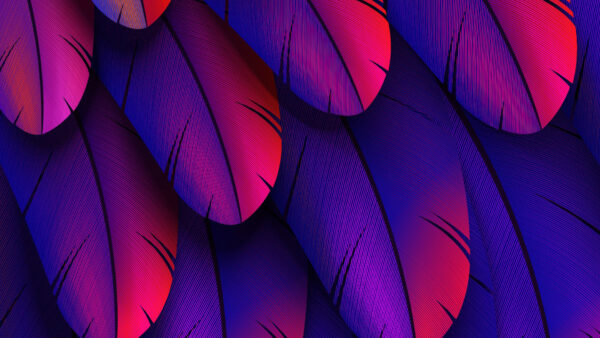 Wallpaper Purple, Desktop, Abstract, Feathers, Pink