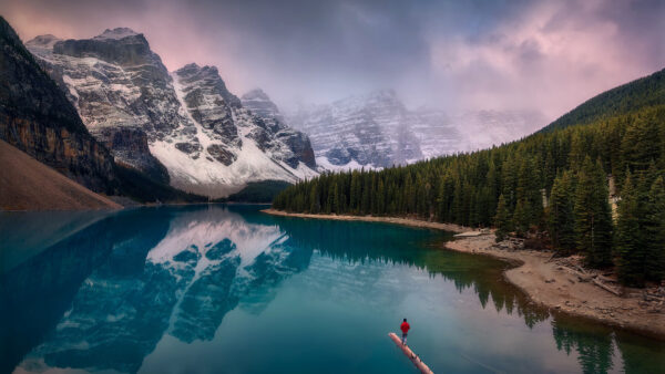 Wallpaper Nature, Standing, And, Canadian, Broken, Tree, Lake, Man, Desktop, Rockies, Long, Mountain, Reflection, With, Moraine