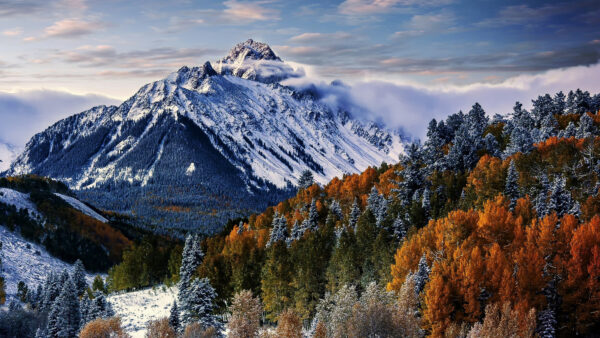 Wallpaper Landscape, Forest, Desktop, Yellow, Snow, View, Fog, Autumn, Covered, Trees, Green, Mobile, Nature, With, Closeup, Mountains, And