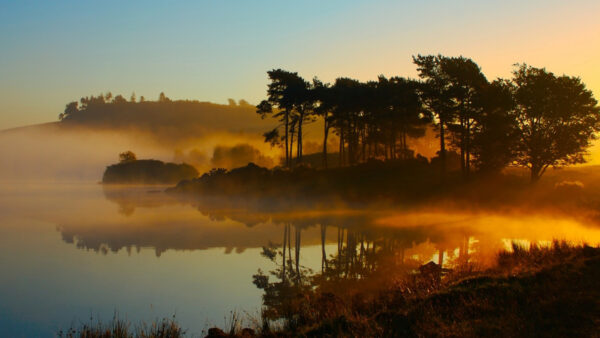 Wallpaper Morning, And, Nature, During, Foggy, Trees, Desktop, Forest, Lake